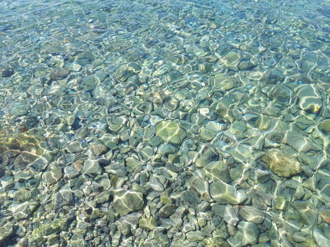 Mare