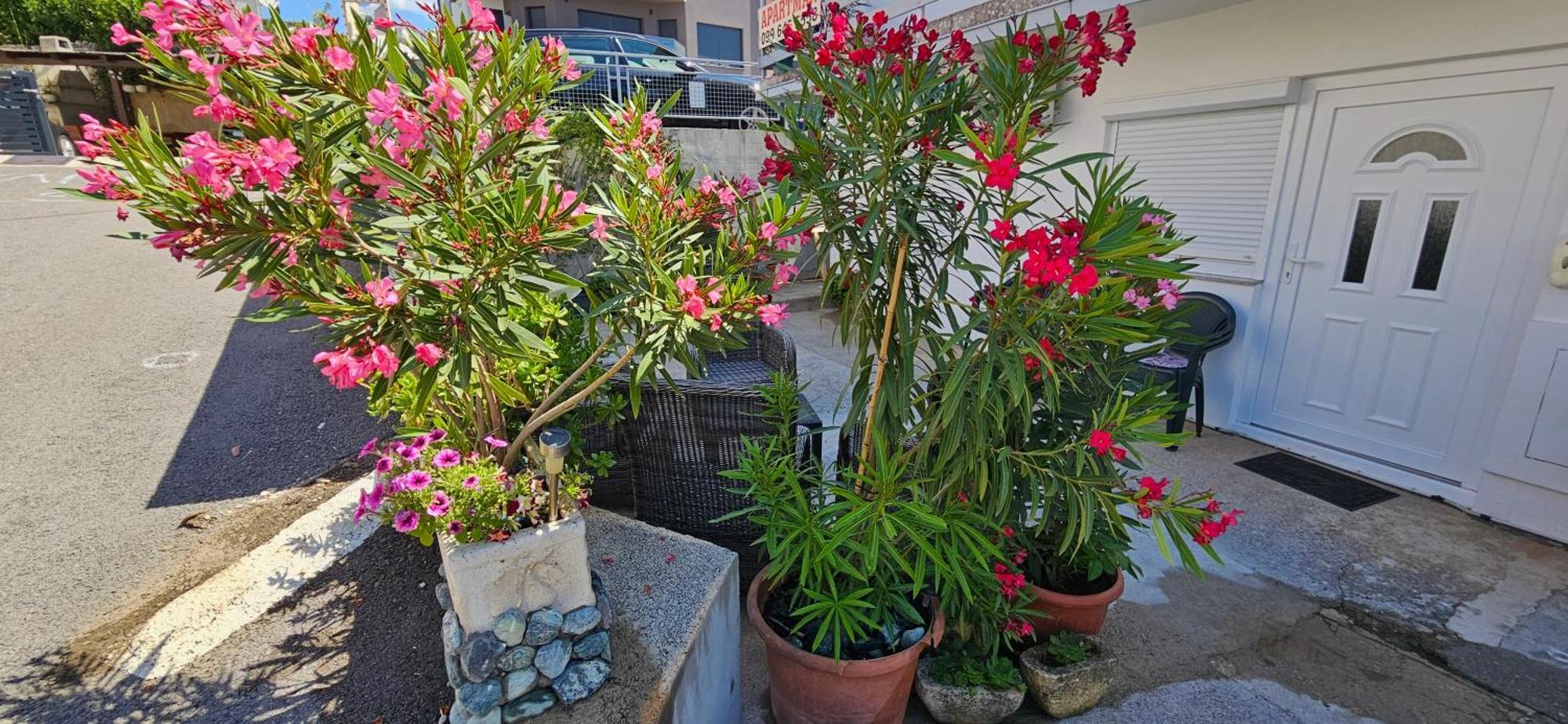 Mare Apartment